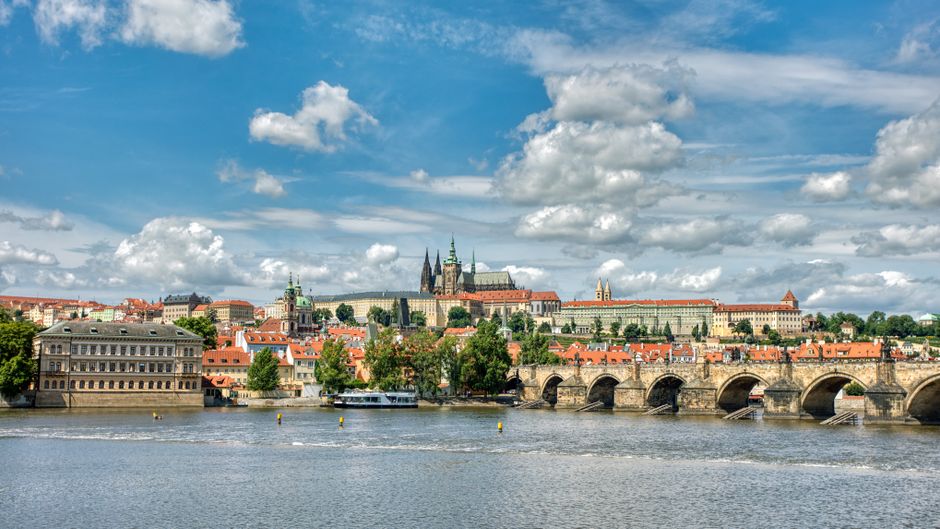 Czechia to Compete in 2026 Little League Baseball® World Series