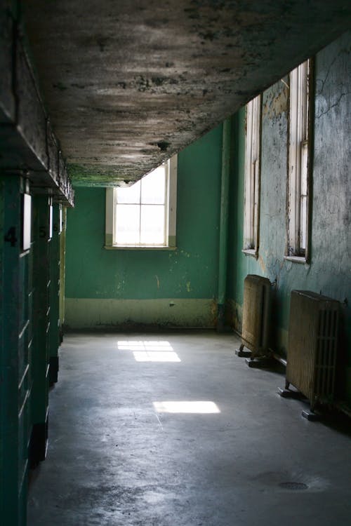 Green Painted Wall With Panel Heaters