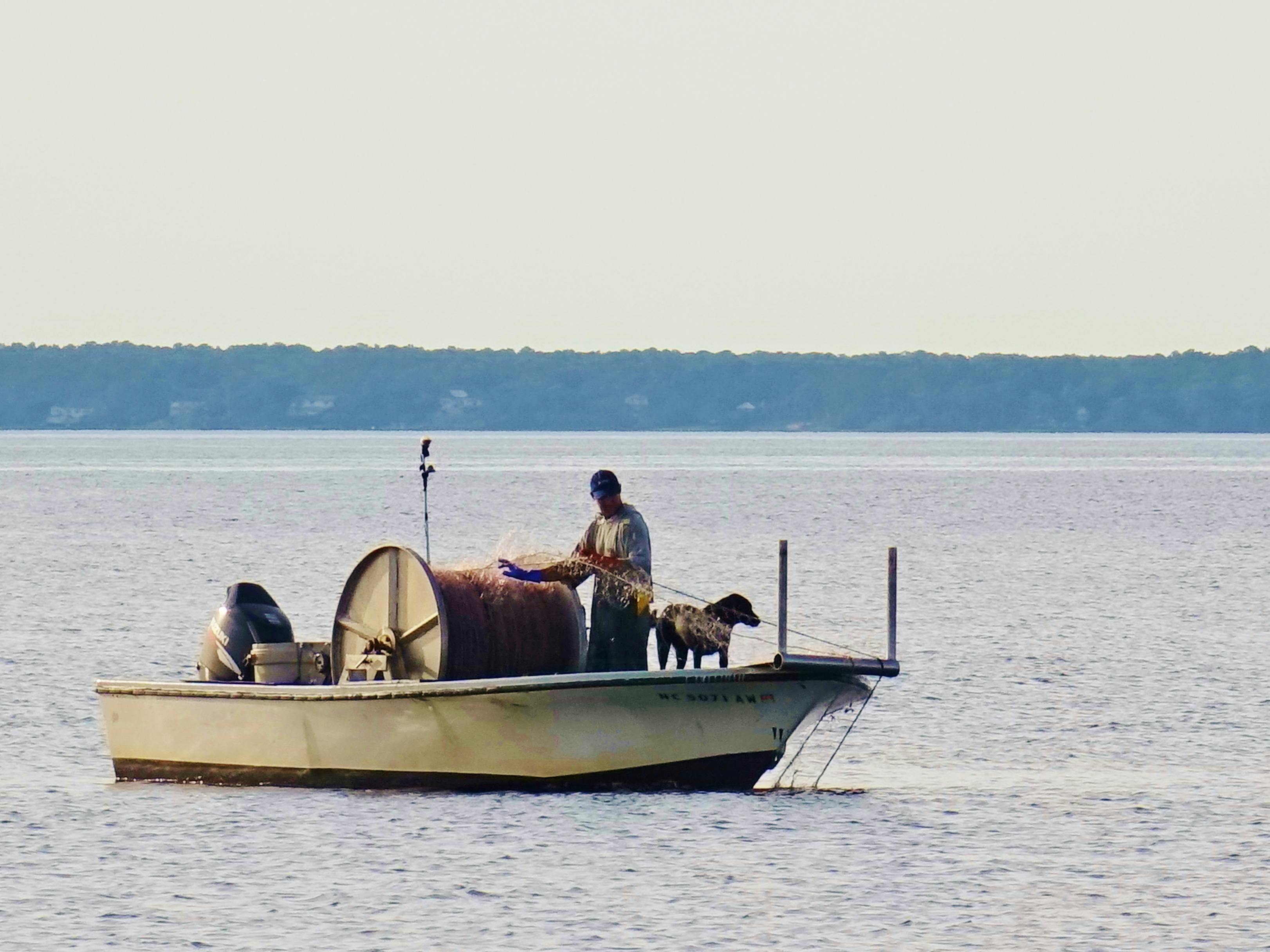 Free stock photo of dog, fishing, fishing boat