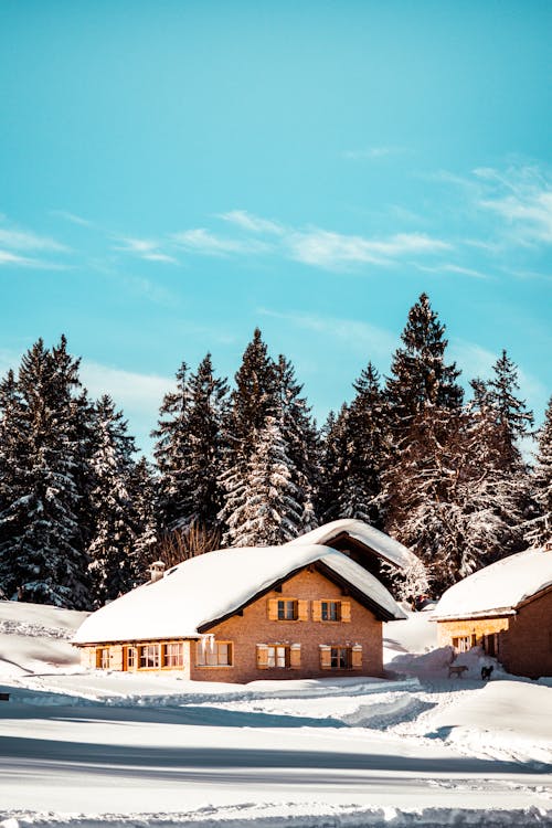 Huizen Met Sneeuwtoppen