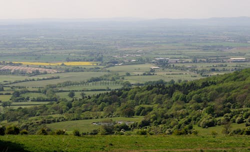 Foto profissional grátis de colina prestbury, gloucestershire, mola