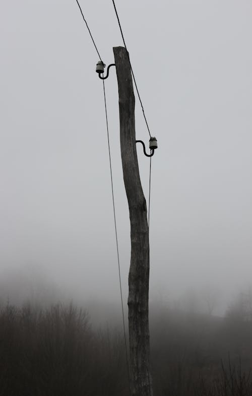 Monochrome Photo of Wooden Utility Pole