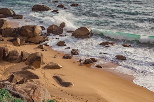 Free Foto profissional grátis de água, areia, beira-mar Stock Photo