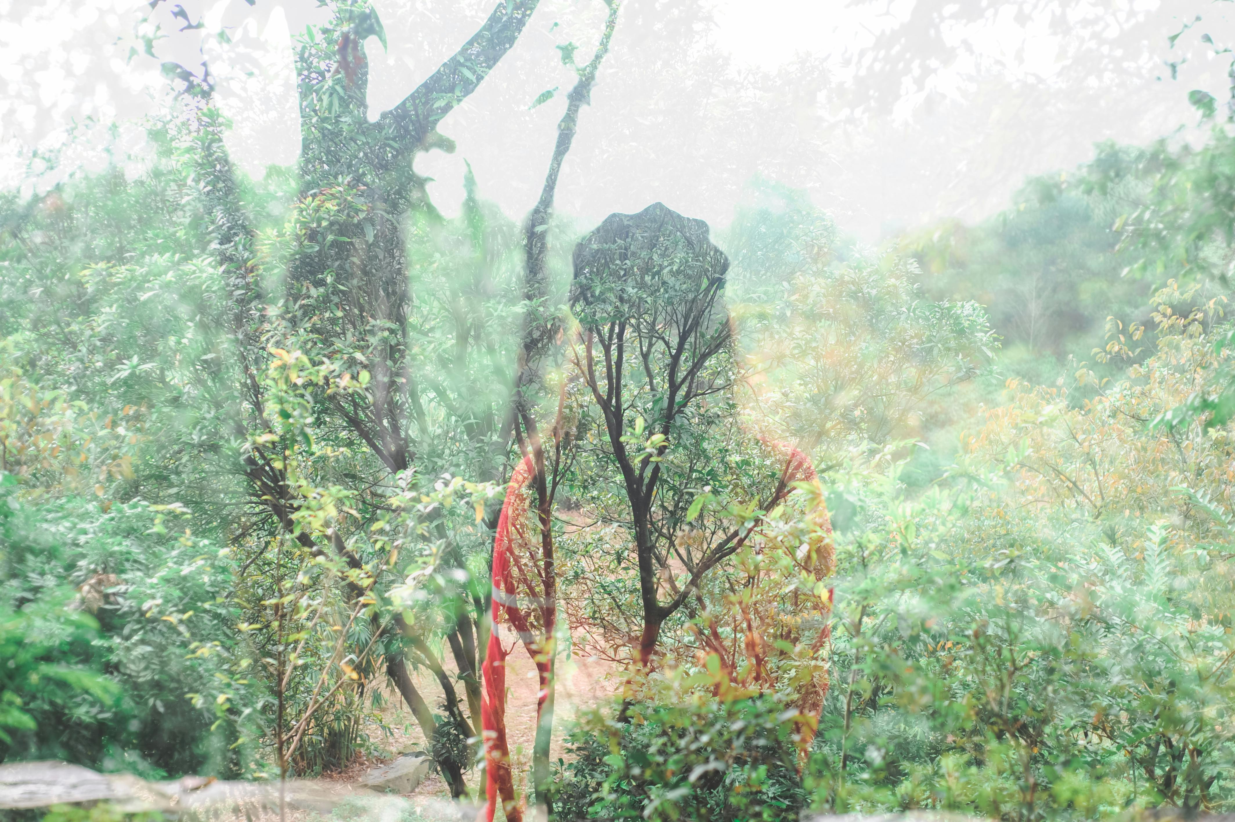 Artistic double exposure showcasing a serene fusion of nature and a silhouette, evoking introspection and tranquility.
