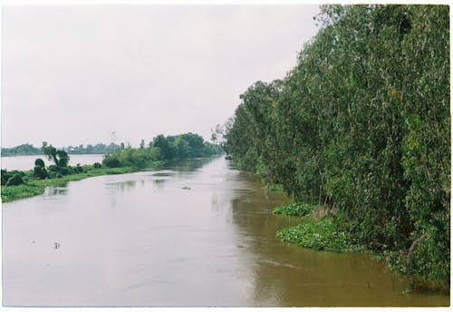 Lake and Forest in Rainy Day