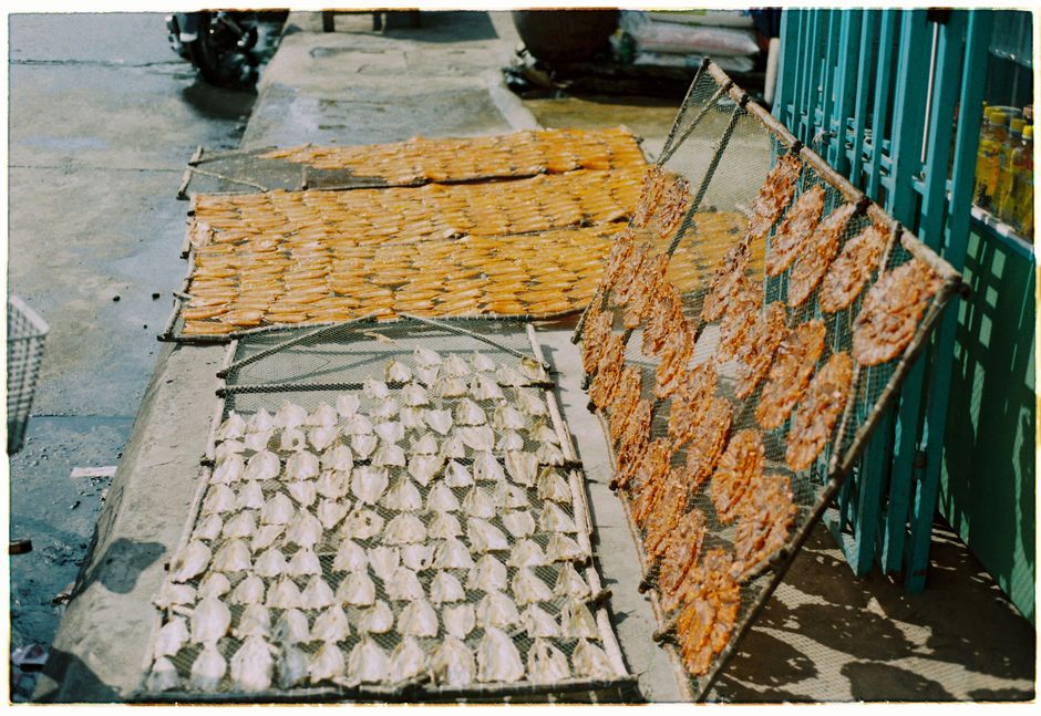 dried yellow croaker fish