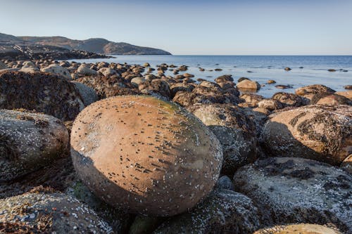 Darmowe zdjęcie z galerii z plaża, skalisty brzeg, skały