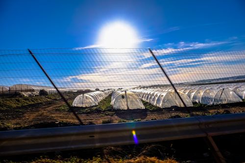 Free A row of greenhouses basking in the sunlight, showcasing agricultural technology. Stock Photo