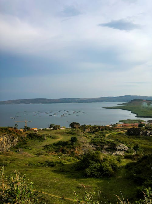 Scenic Shot of a Lake by the Countryside