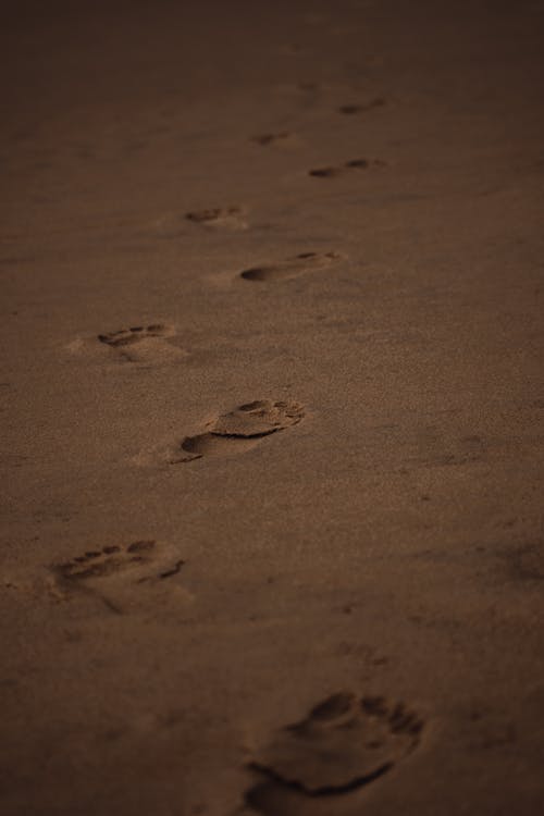 Δωρεάν στοκ φωτογραφιών με άμμος, βήματα, έρημος