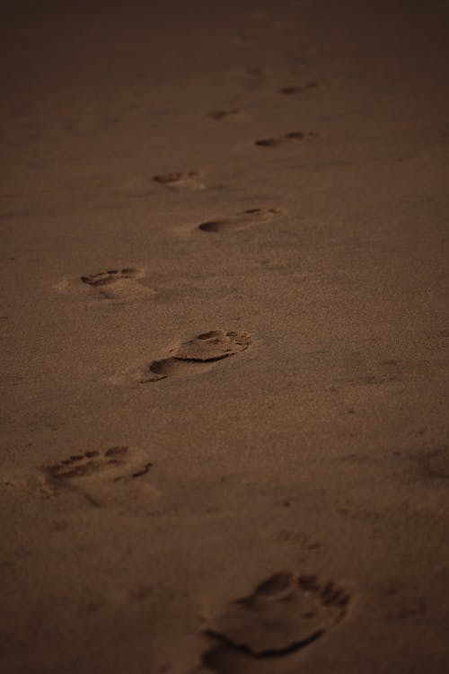 Footprints on Brown Sand