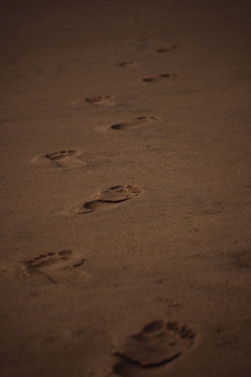 Free A series of footprints on a serene sandy beach in India, captured at twilight. Stock Photo