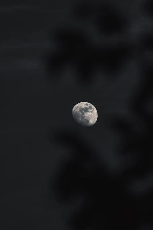 그레이스케일, 달, 밤의 무료 스톡 사진