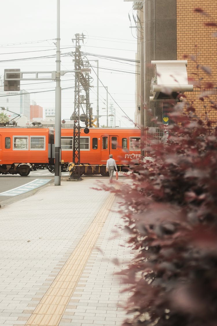 Train Passing Through Street