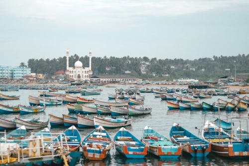 Fishing Boats Docked at the Marina