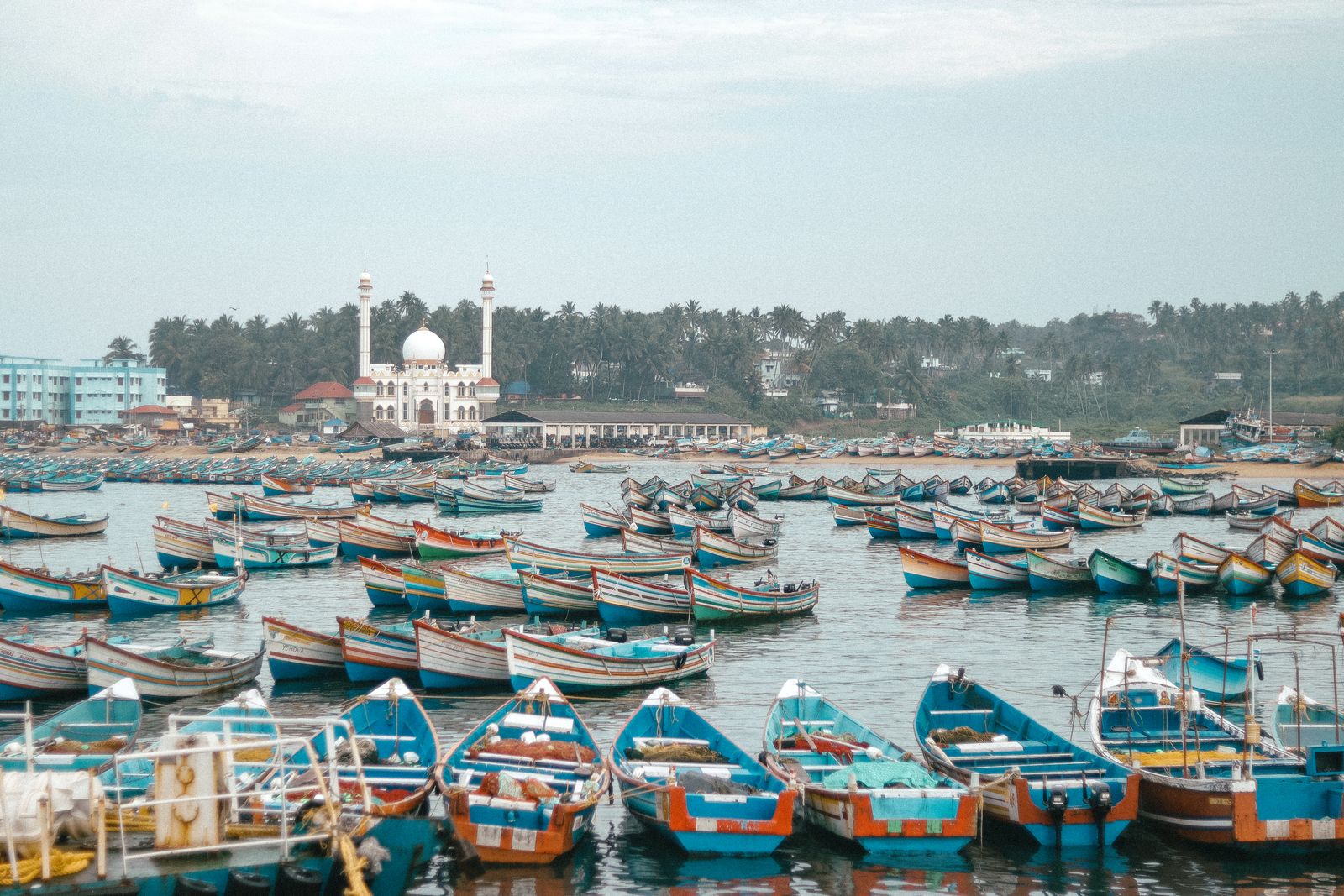 Charter fishing boats docked together at the marina