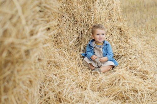 Free An Adorable Boy Sitting on a Hay Stock Photo