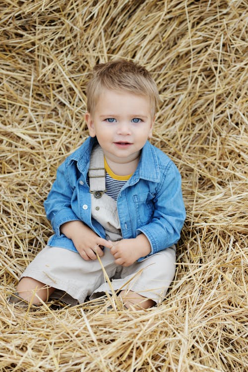 Free Little Boy in Blue Denim Shirt Sitting on the Haystack Stock Photo