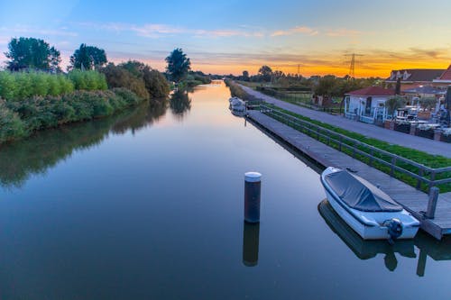 Foto profissional grátis de árvores, cais, céu limpo