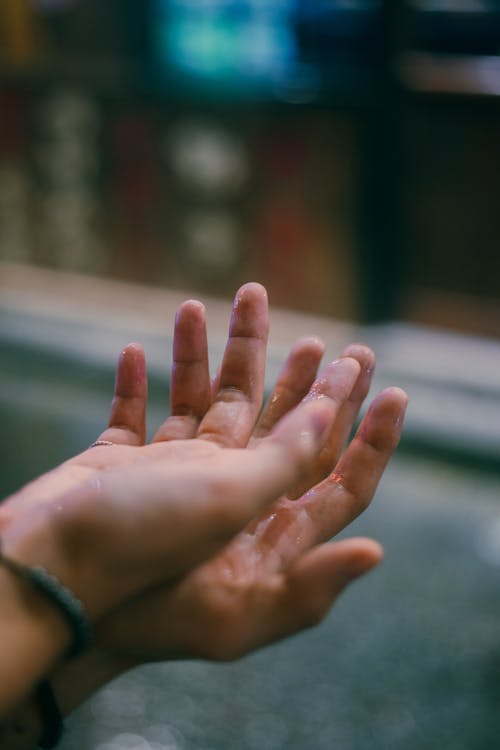 Základová fotografie zdarma na téma detail, dlaň, mokrý