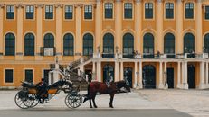 A  Horse with Carriage in Front of a Brown Building