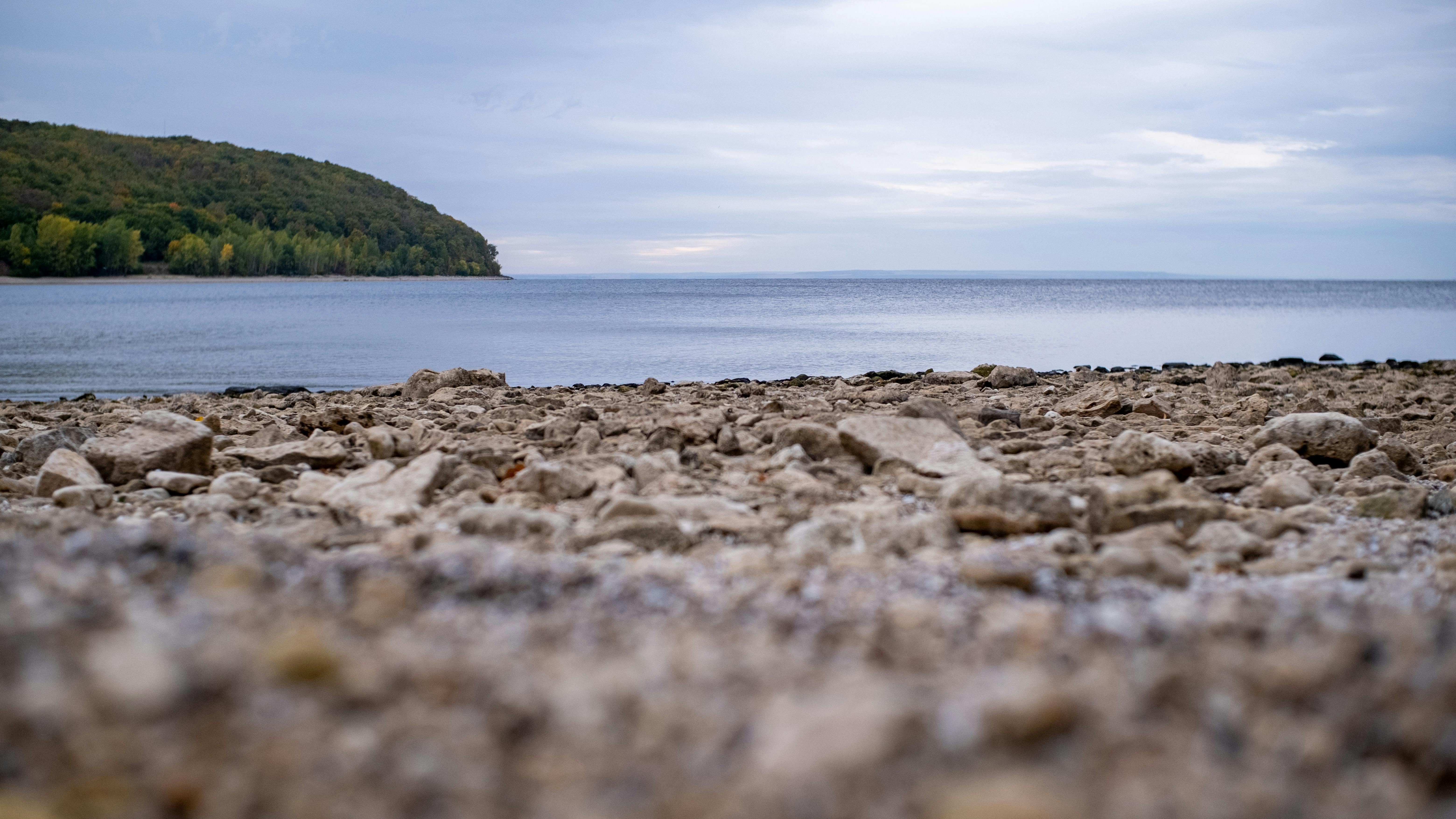 UNE students ‘Restore the Shore’ to strengthen campus climate resilience — Photo by Maksim Darling on Pexels