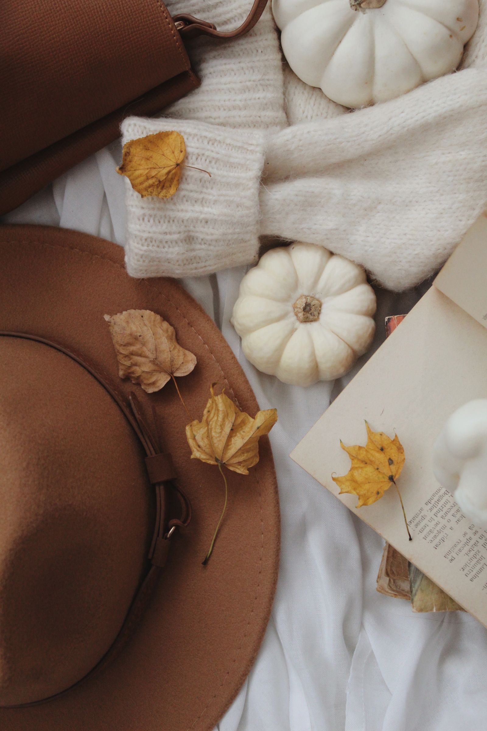 Autumn clothing flat lay with sweater and accessories without people