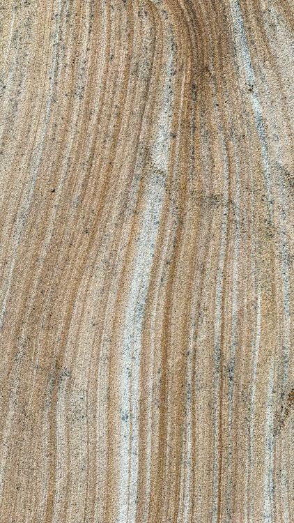 Close-up Photo of Rough Surface · Free Stock Photo
