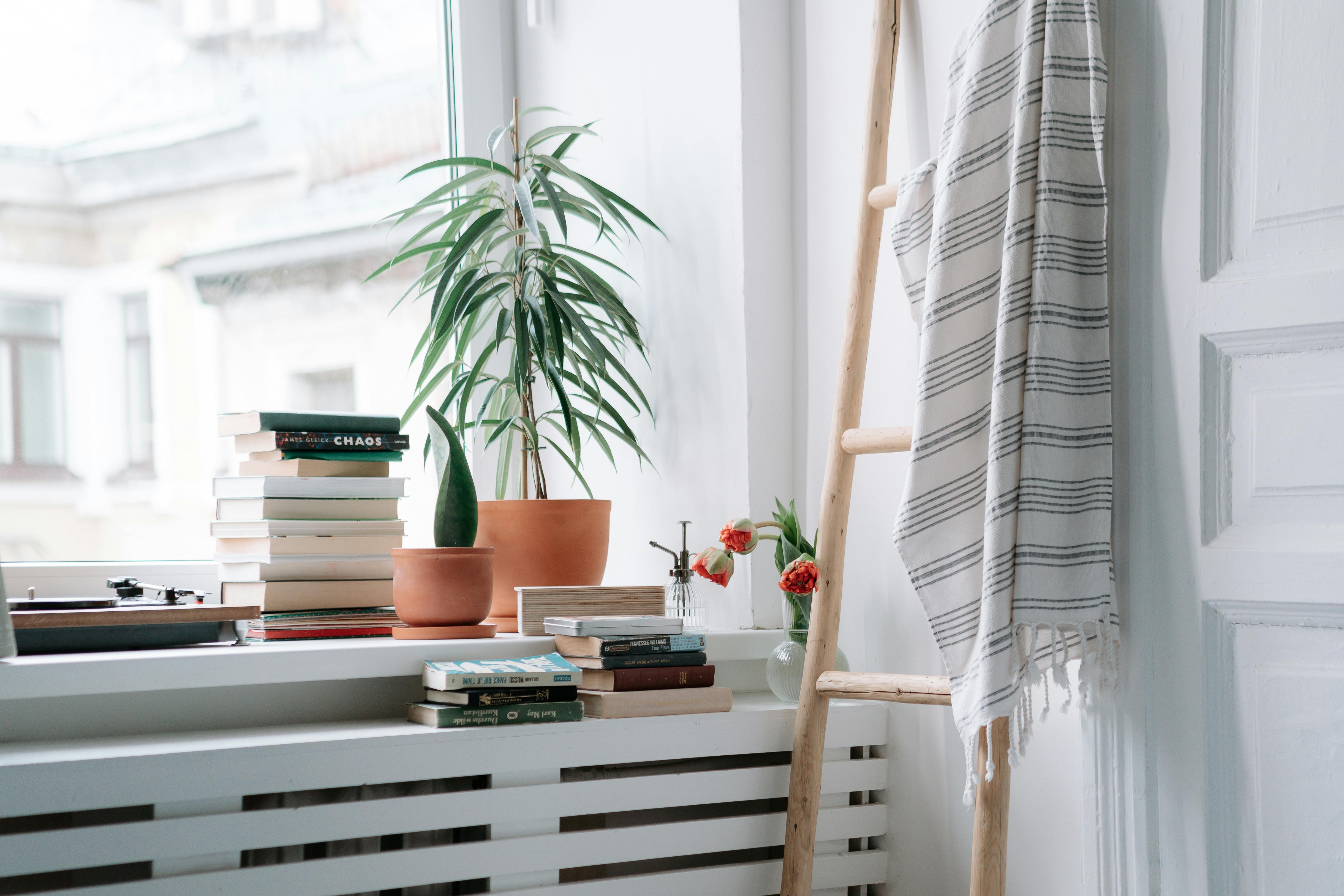 Warm indoor reading nook featuring books, a ladder with blanket, and potted plants by a window.