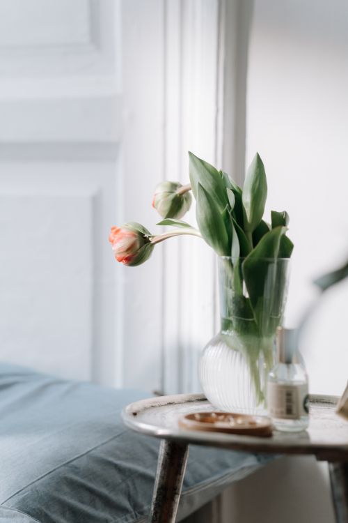 Free A vase of tulips on an old-fashioned table by a window, creating a serene indoor atmosphere. Stock Photo