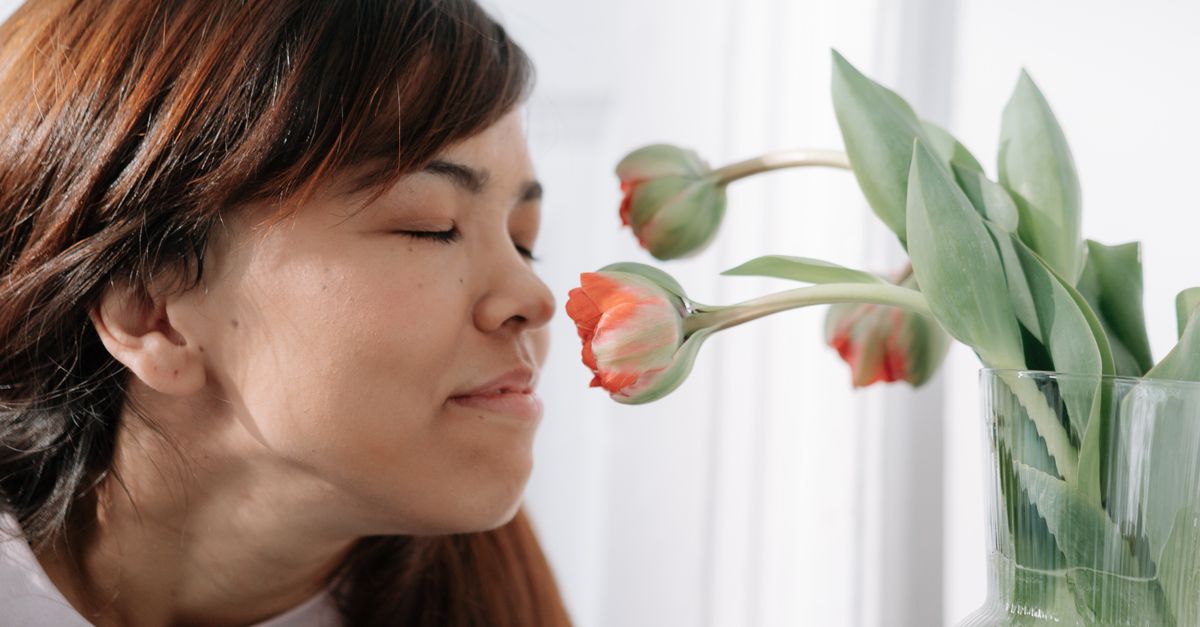 Why Your Home Always Smells Damp, Not Fresh (And The Silent Saboteurs Nobody Talks About)