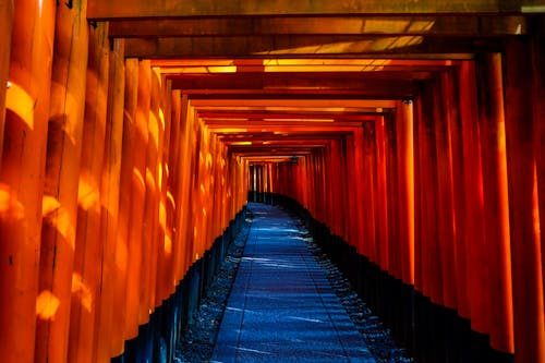 Blue and Orange Wooden Pathway