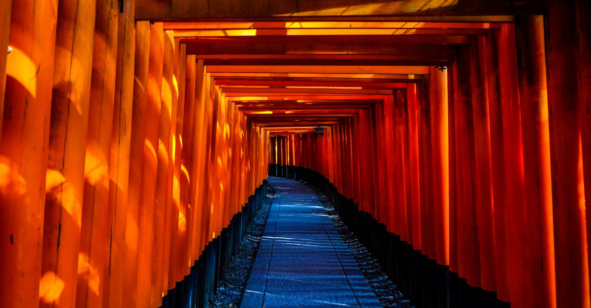 Blue and Orange Wooden Pathway