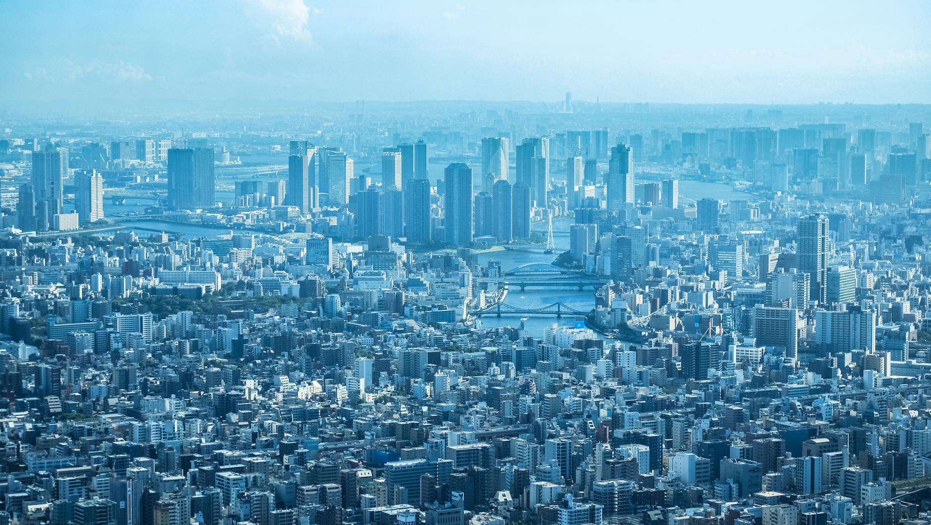 Aerial View of Tokyo skyline