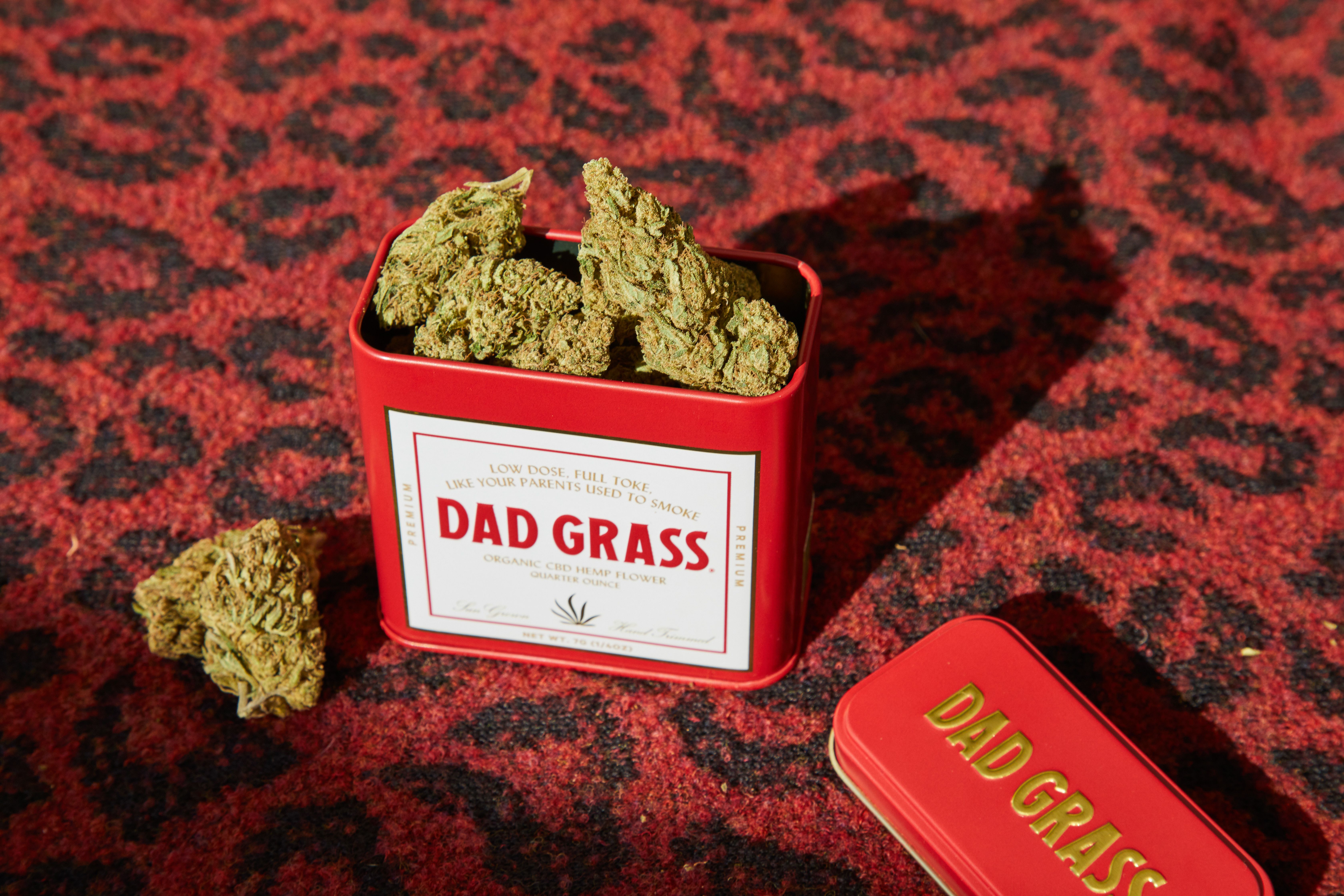 cannabis benefits — Photo by Dad Grass on Pexels