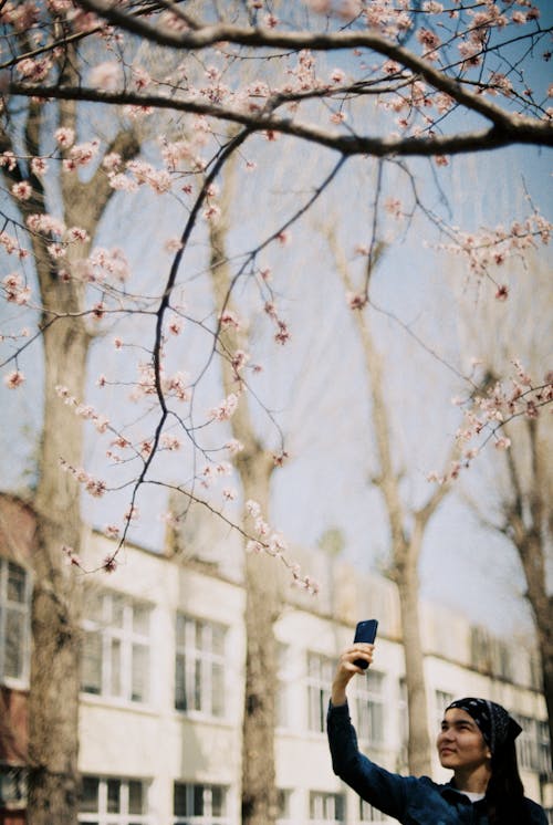 A young girl wearing headscarf and taking a picture of a blooming tree with her phone 