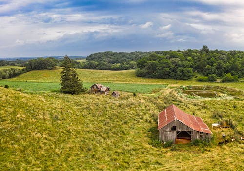 Brown Wooden House on Green Grass Field Under Blue Sky