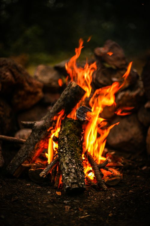 Free A close-up view of a crackling campfire with vibrant flames in a forest setting, perfect for outdoor adventures. Stock Photo