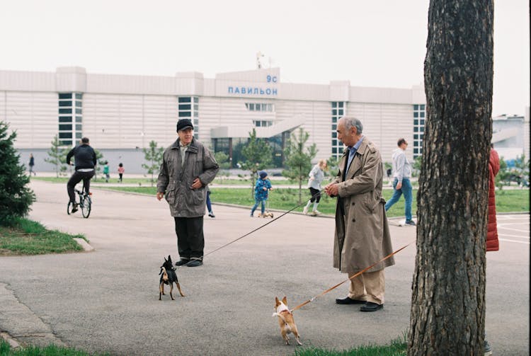 Elderly Man Holding A Dog On A Leash