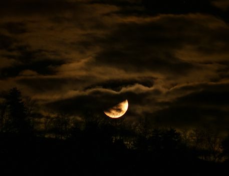 Silhouette of Trees Under Cloudy Sky during Night Time