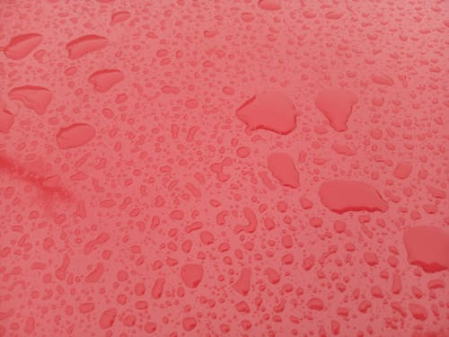 Free Water Droplets on Pink Surface Stock Photo