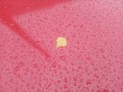 Pink and White Heart Textile