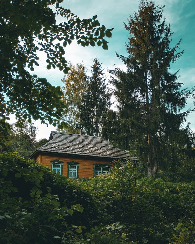 A Brown House Behind Lush Green Shrubs