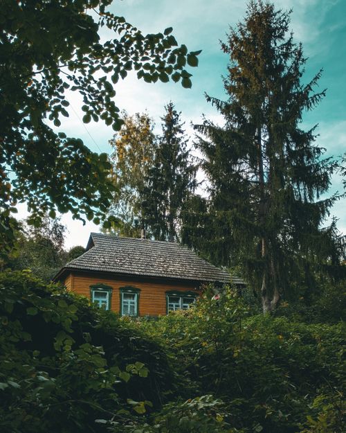 Free Vintage wooden house surrounded by lush foliage and towering trees, captured beautifully in summer. Stock Photo