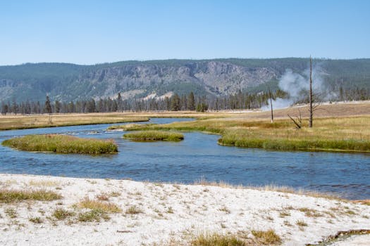 Serene view of a geothermal stream in Yellowstone with lush greenery and steam.
