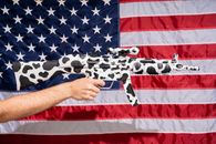 Free stock photo of activism, administration, banner