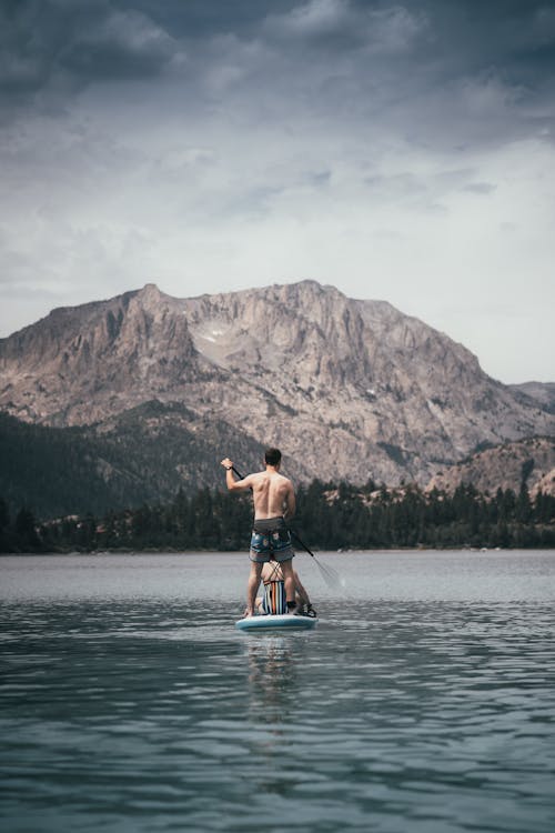 paddleboarding, 人, 划槳 的 免費圖庫相片