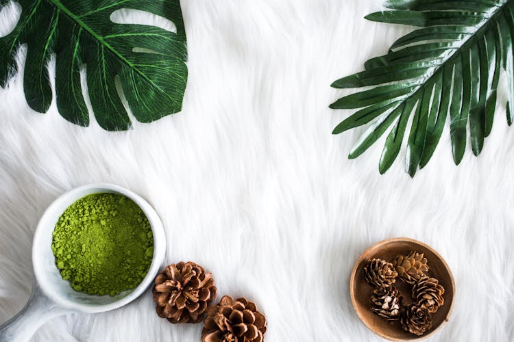 Matcha Powder, Pine Cones And Artificial Plant Leaves 