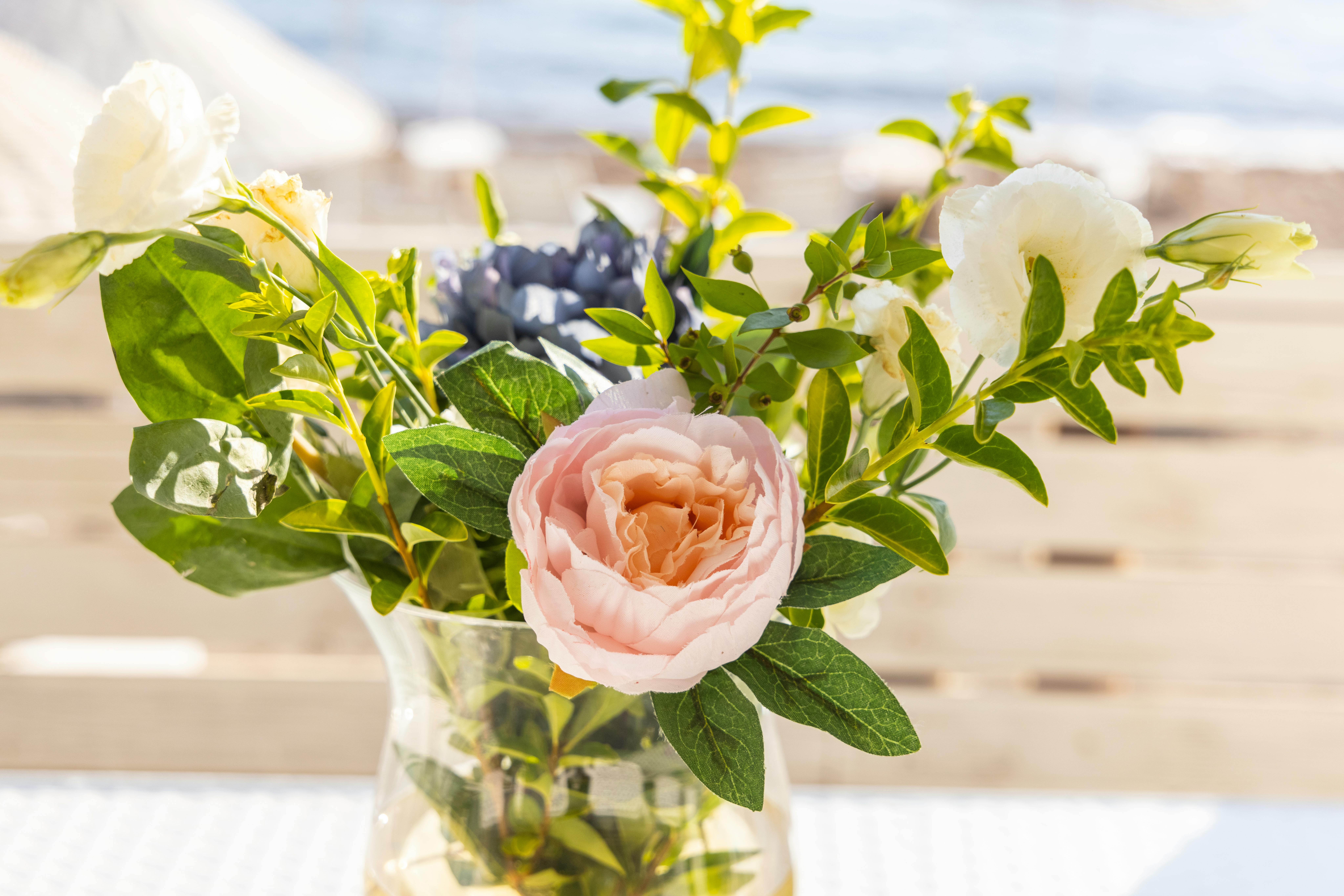 Roses in Clear Glass Vase · Free Stock Photo