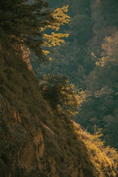 Serene view of cliffs and lush vegetation, showcasing natural beauty in Chalus, Iran.